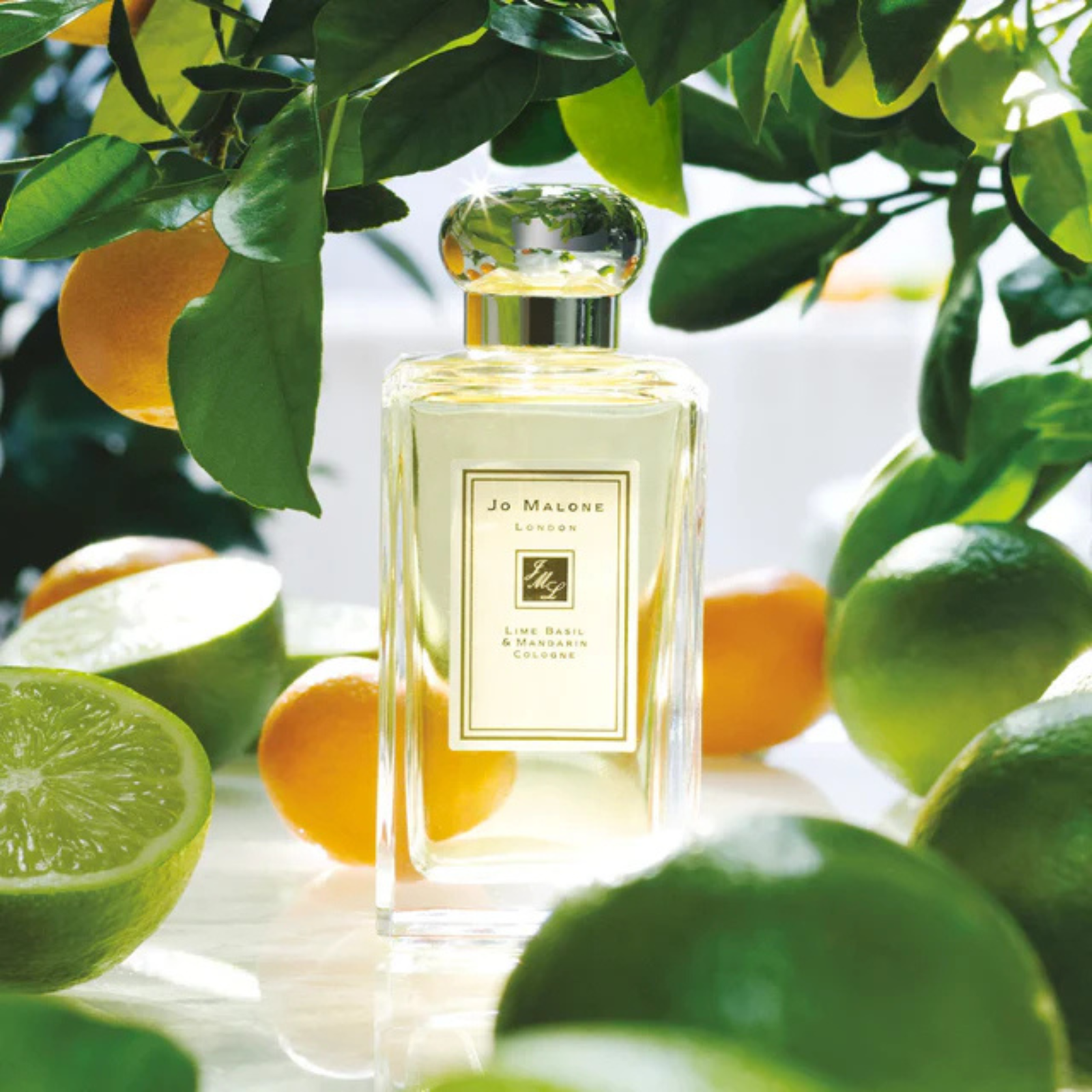 Jo Malone Lime Basil & Mandarin: Il Classico Agrumato Moderno